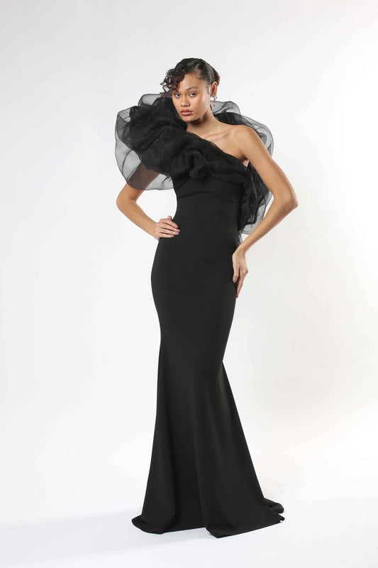 Black Orgenza Gown