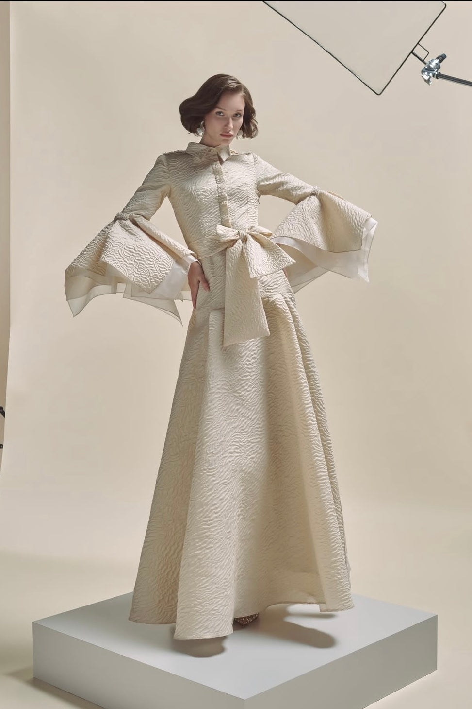 Bell Sleeve Dress