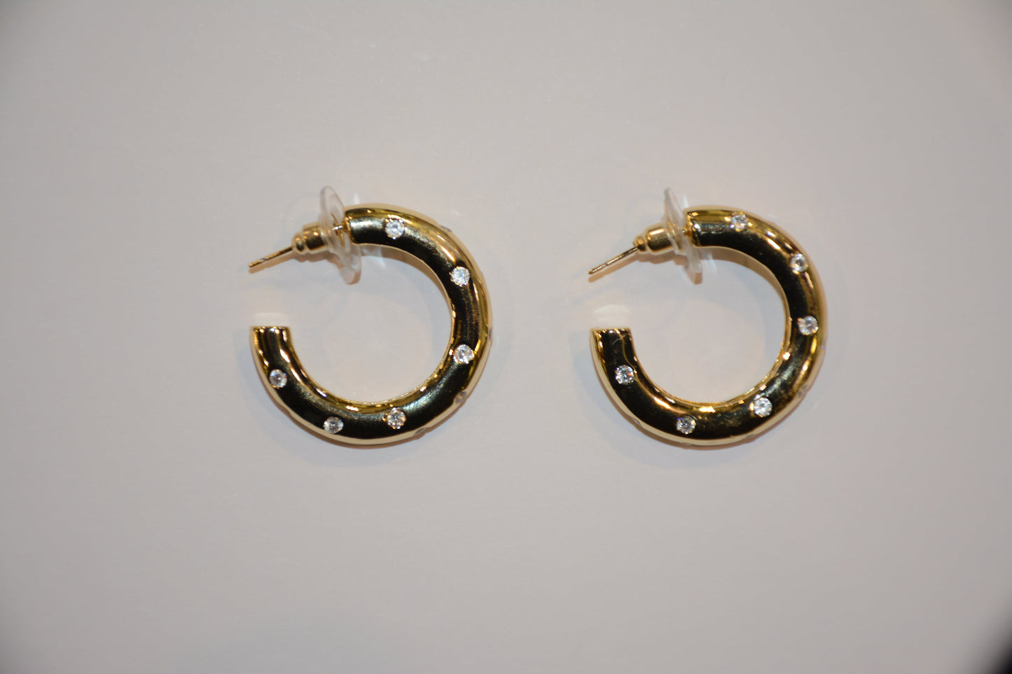 Circled White Crystals Earring